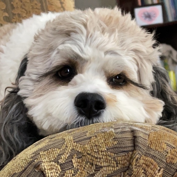 Meet your Posher, Nate - Picture 1 of 1